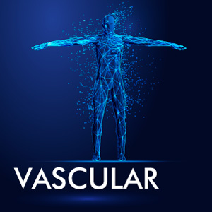 Vascular