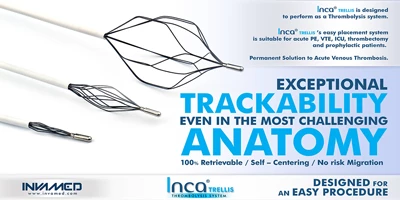 Inca® Trellis Thrombolysis System