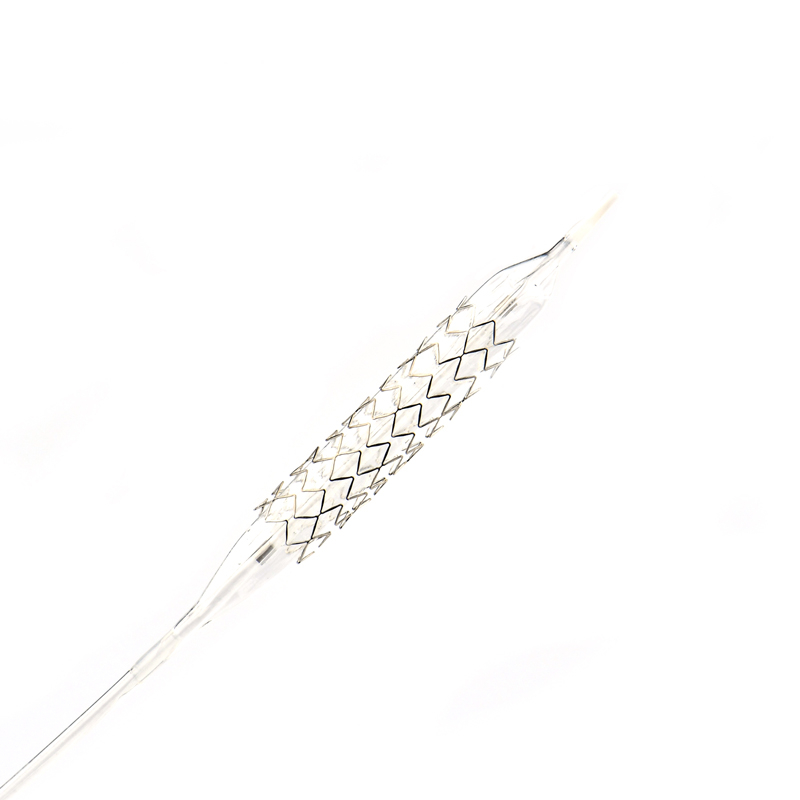 Atlas Drug Eluting Coronary Stent System SS