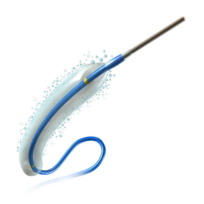 EXTENDER PTCA Drug Eluting Coronary Balloon Catheter-4