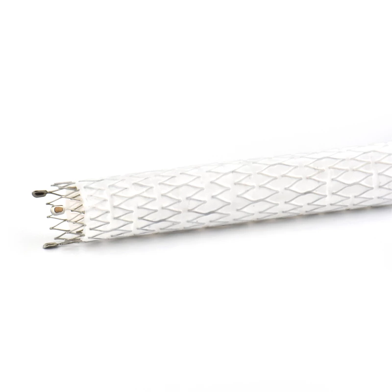 Atlas Endovacular Stent Graft ePTFE Coated System-4