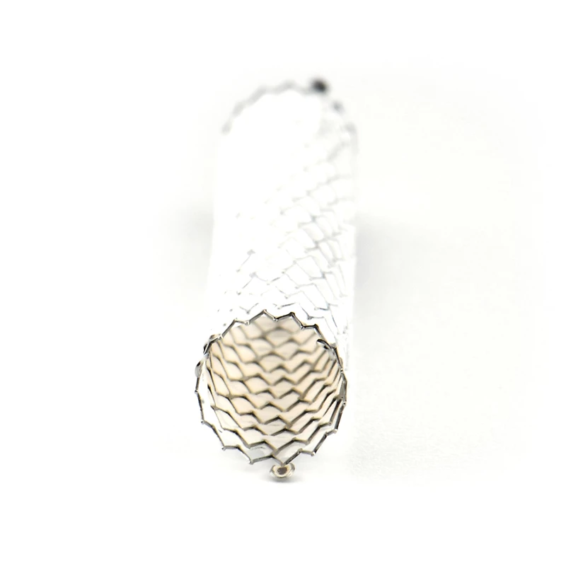 Atlas Endovacular Stent Graft ePTFE Coated System-5