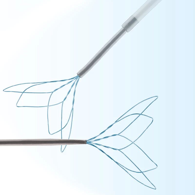 Keeper Retriever Endovascular Snare Looped Designed