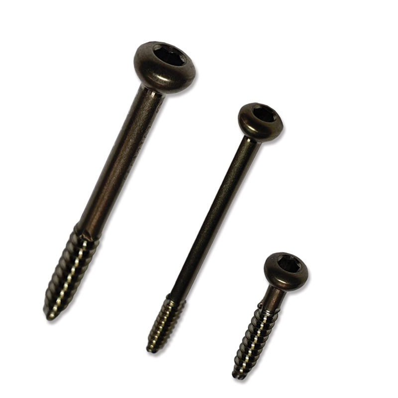 Malleolar Screw-1